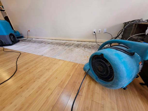 Professional Flood Damage Cleanup technician working in Searchlight, NV